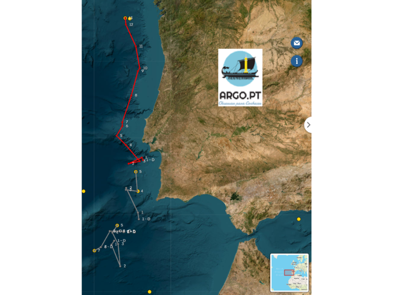 NOVOS FLUTUADORES ARGO