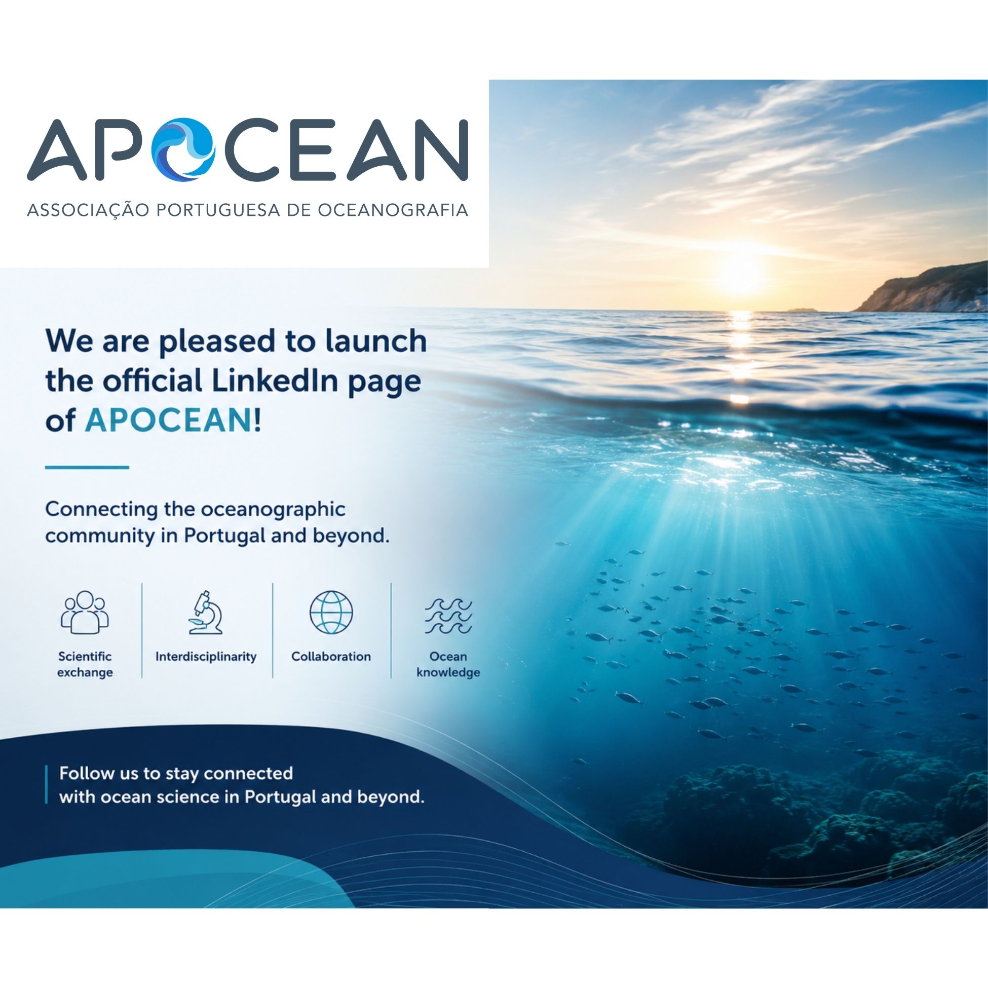 LINKEDIN APOCEAN